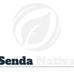 logo blanco